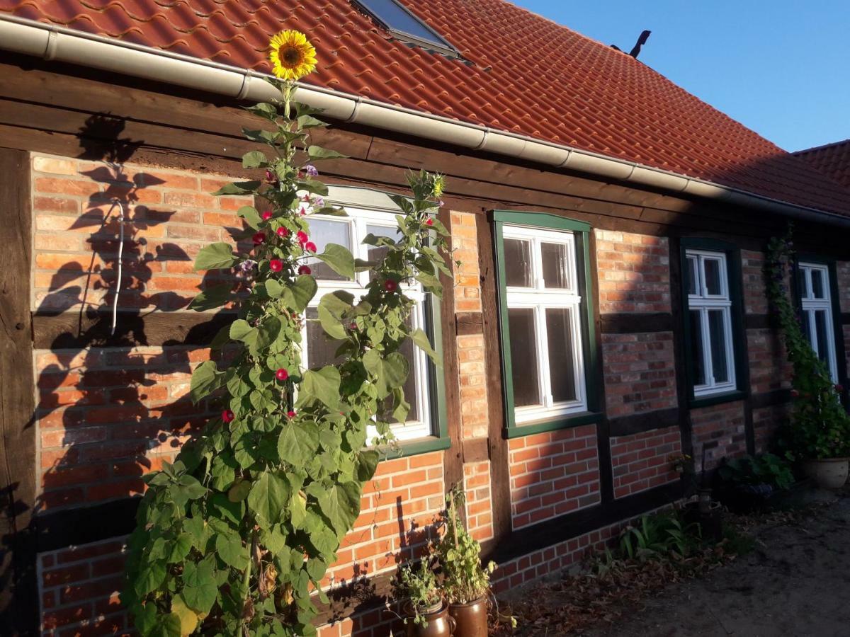 Pension Up'N Doerp Plattenburg Buitenkant foto